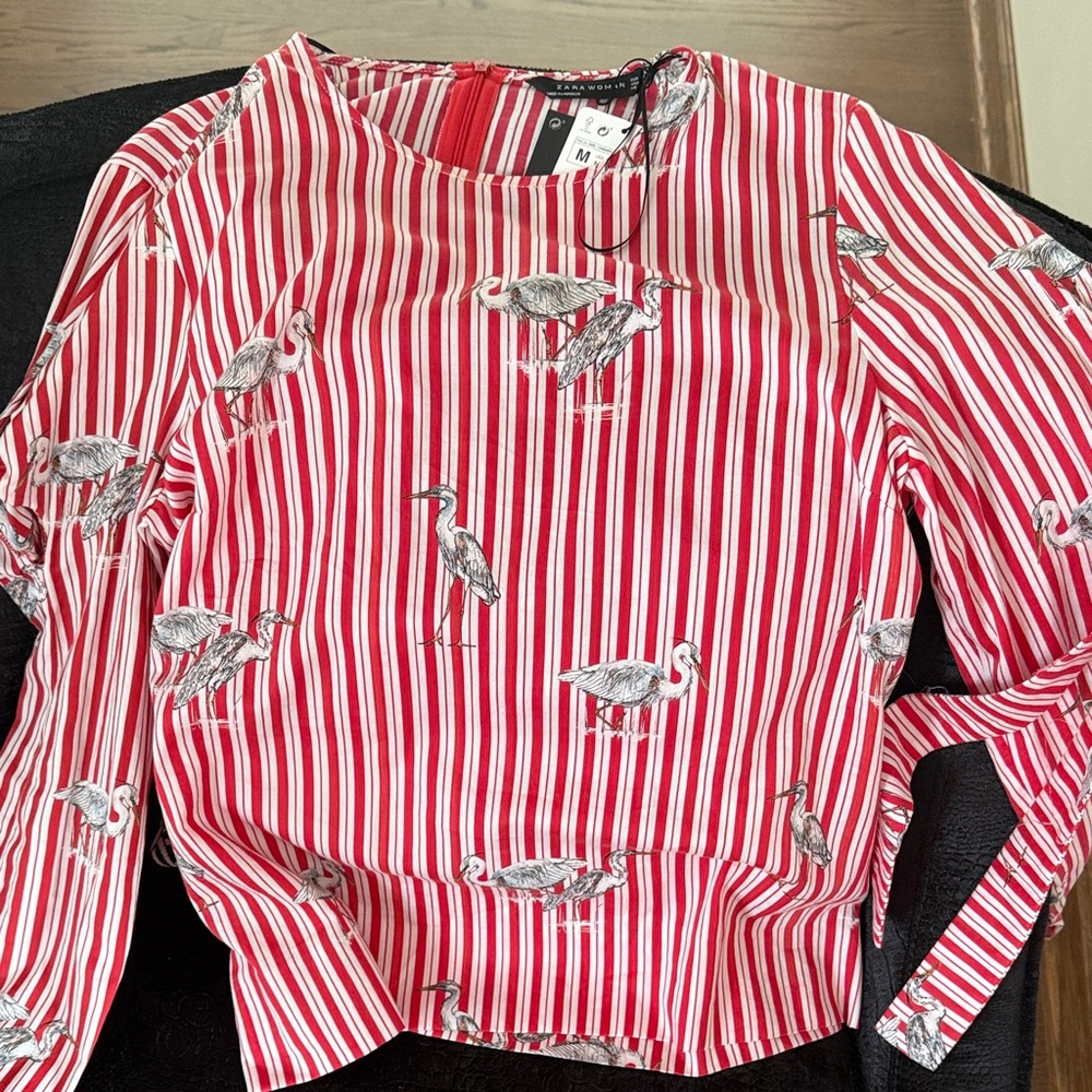 Zara Red and White Striped Blouse with Bird Print